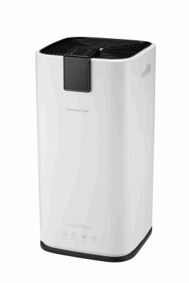 China Energy Efficient 16L/DAY R290 Dehumidifier PD09A House Dehumidifier for sale