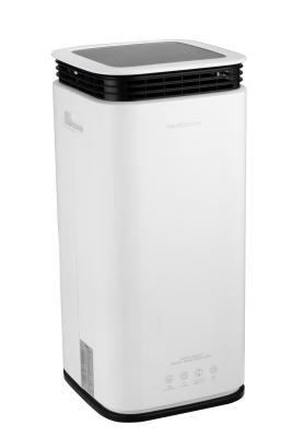 China 12L/D R290 Refrigerant Dehumidifier For Home Easy Use for sale