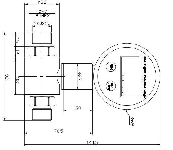 Bpz2008 Differentia Pressure Transmitter Gauge