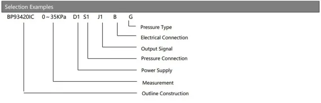 BP93420IC Pressure Transmitter installation examples