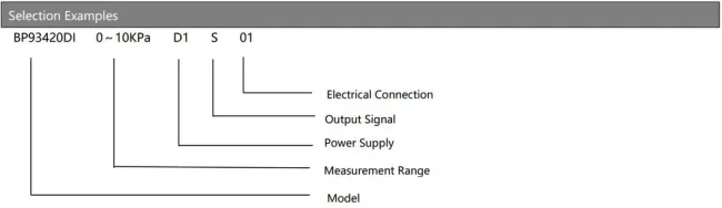 BP93420DII mounting configuration
