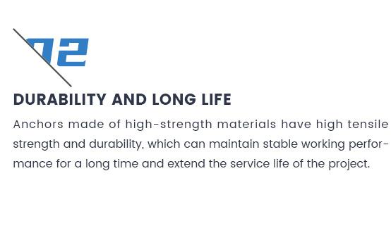 Professional Manufacturer From China Carbon Steel Stainless Steel Video or Technical Support Mining Bolting Industry Anchor Bolt with Nut