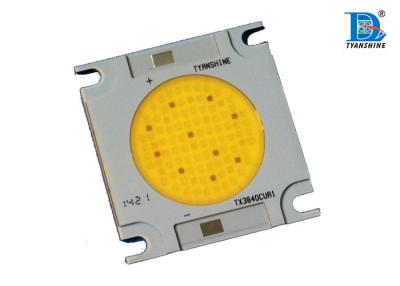 China 150W 5600K COB Chip LED Array with 3mm Copper MCPCB , White LED Module for sale