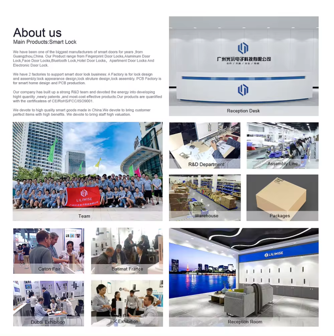 Liliwise Global Presence