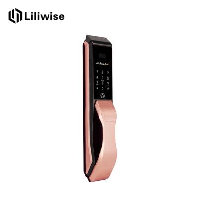 China Biometric Recognition Automatic Door Lock Rose Golde Double Security Protection for sale