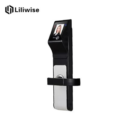 China Intelligent Face Recognition Door Lock Support IC Card For Home Or Office for sale