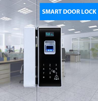 China Glass Door Electronic Door Locks With Fingerprint Password Remote Control for sale