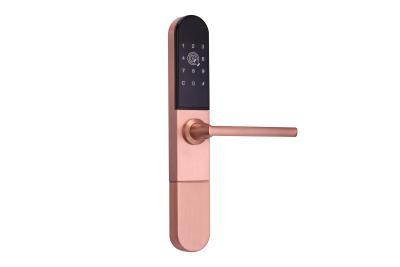 China Cerraduras de puerta de aluminio elegantes de cerradura de la puerta del cinc de la aleación del control elegante del App para la puerta deslizante en venta