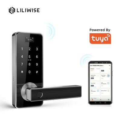 China Tuya Biometric Fingerprint Door Lock Handle Digital Keyless Smart Door Lock for sale