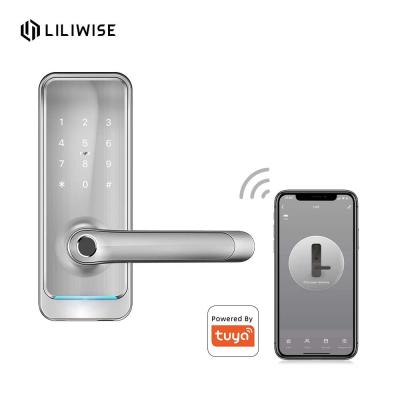 China Waterproof Electronic Door Locks Bluetooth Smart Mortise Door Handle Lock for sale