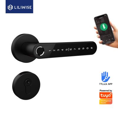 China Intelligent Electric Handle Wooden Door Lock For Residential for sale