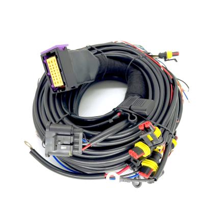 China CNG LPG Sequential Injection 24 Pin Car Wiring Harness For 4 Cylinder ECU for sale