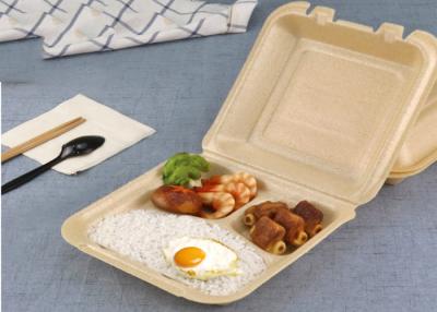China Disposable Box Biodegradable Microwave Corn Starch Food Container box container for sale