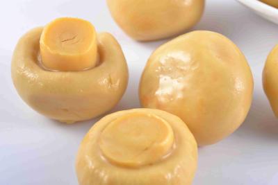 China Os cogumelos de botão/chinês inteiros enlatados enlataram cogumelos 36 meses de vida útil à venda