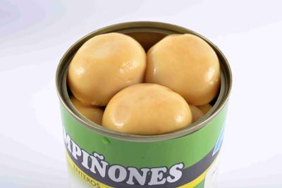 China Light Yellow Canning Mushrooms , Whole Button Mushrooms In Jars for sale