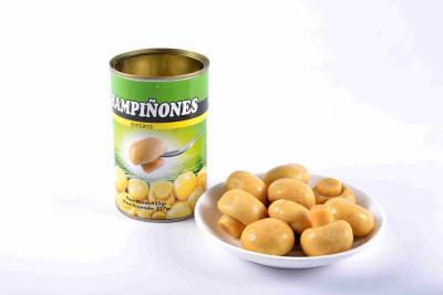 China Halal / Kosher Certificate Canned Whole Mushrooms Customer Brand Available for sale