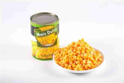 China Salad Canned Sweet Corn Kernels In Tin Rich Nutrition Natural Flavor for sale