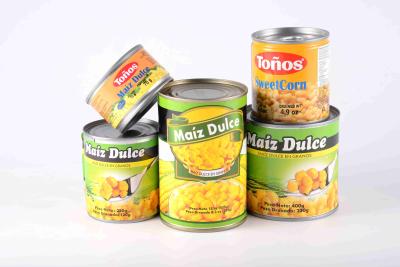 中国 特別な芳香の非GMOの黄色によって缶詰にされるスイート コーンの豊富な澱粉 販売のため