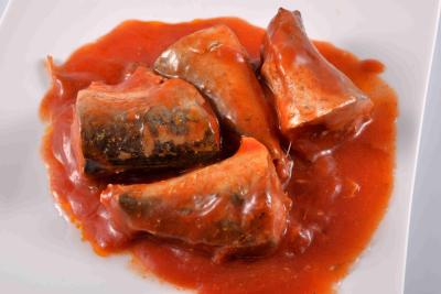 China Cavala enlatada no molho de tomate 425g (15oz) à venda