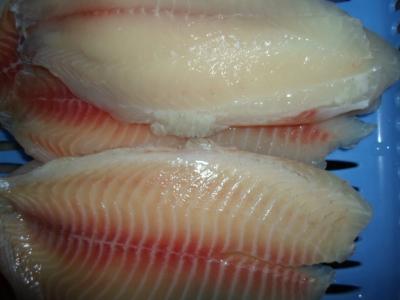 China Healthy Pure Fresh Boneless Frozen Tilapia Fish , Frozen Tilapia Fillets for sale