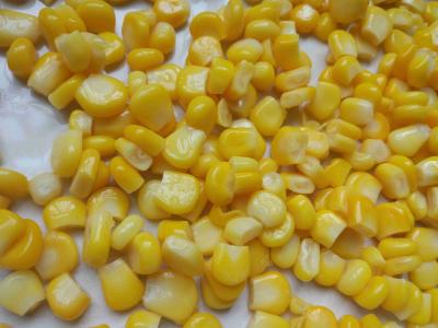 China La fábrica conservada no GMO del maíz conservó el maíz dulce conservado maíz en la lata A10 en venta
