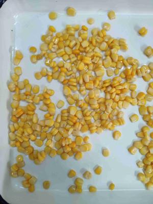 中国 2840g A10は保存性3年ののトウモロコシの穀粒を缶詰にした 販売のため