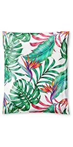 Bird of Paradise mailer