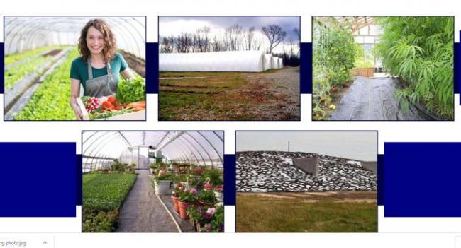 Agricultural PE Film, Agriculture Polyethylene, Film, mulch films, horticultural polyethylene film 4