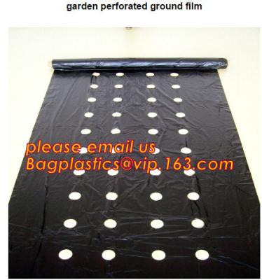 China perforated ground film, Vapor Barrier film, Greenhouse film, Agricultural Panda Film, Reflective Maylar Film for sale