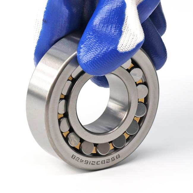 BS2B321642B Bearing