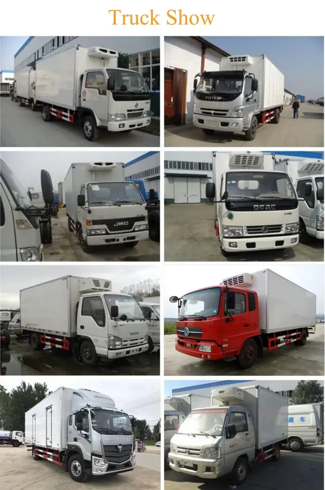 China Fruit and Vegetable Transport Mini Refrigerator Truck for Sale