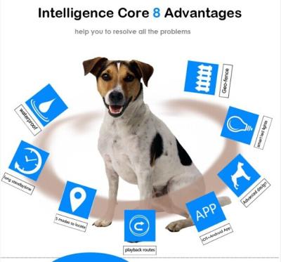 China Wifi sistema de rastreamento GPS / cão chip com gps anti perdido gps animal de estimação do cão / gato rastreador localizador V30 à venda