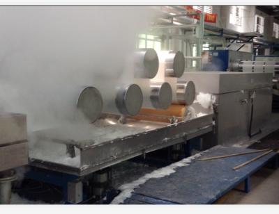 China Máquina de gerencio da fibra de 3000 Ton Per Year Polyester Staple à venda