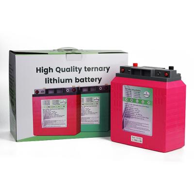 China Lithium Ion 12V Lifepo4 Battery Pack 50ah 80ah 100ah For Outdoor Energy Storage for sale