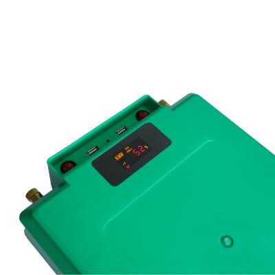 China 24V 30ah 50ah 12V Lithium Ion Battery Power Pack 100ah Waterproof For Solar System for sale