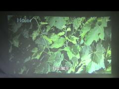비디오 프로젝터 LCD LED HD 4K