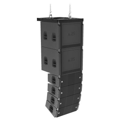 China VA Black Dual 10 Inch Line Array Outdoor Speakers Passive 800W for sale