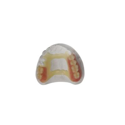 China Impresora dental de goma Dental Laboratory de la corona 3D de la mirada natural PFM en venta