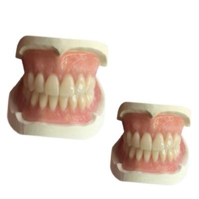 China CAD Denture Dental Lab CAM Rubber 3D Printed Tooth Crown Natrural Shade for sale