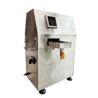 China CE Industrial Electric Sugarcane Juice Extractor Machine Stainless Steel Food Grade for sale