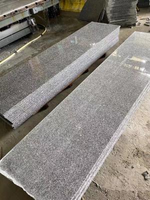 China La losa del granito G654 pulió las losas al aire libre grandes superficiales de la pared del granito en venta