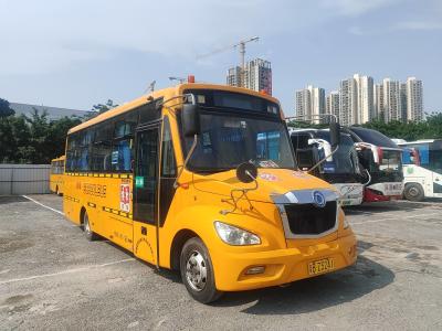 China ShenLong Used School Buses 36 Seats LHD Steering Position Diesel Fuel Type for sale