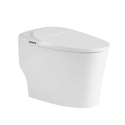 China Women Modern Smart Toilet Electric Automatic Flush Intelligent Closet WC for sale