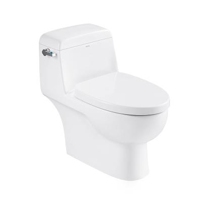 China Sanitary Ware Dual Flush Water Closet 702×397×668mm for Bathroom for sale