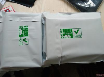 China El mensajero auto-adhesivo material del HDPE empaqueta la impresión del fotograbado para empaquetar en venta