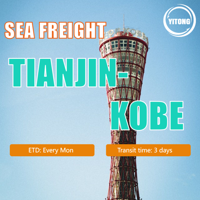 天津から神戸PNGへの海上貨物 Sea Freight From Tianjin To Kobe Png