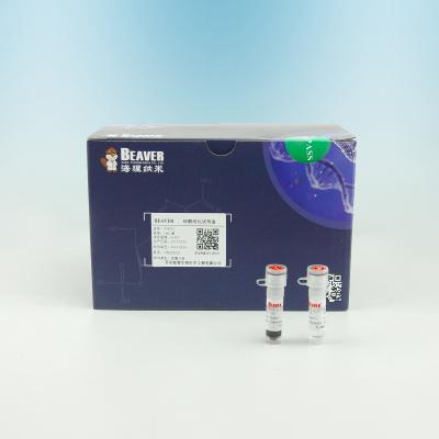 China DNA Select Isolation Kit For DNA Library Building Support OEM for sale