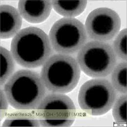 Chine Perles magnétiques 500nm d'ARN de silice virale d'extraction 10 mg/ml 50 ml à vendre