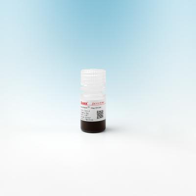 China Mag OH Silica Magnetic Beads For DNA Extraction 500nm 10 mg / mL 5 mL for sale