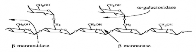 2000U Alpha 1 Galactosidase Powder For Livestocks Feed And Premix 0